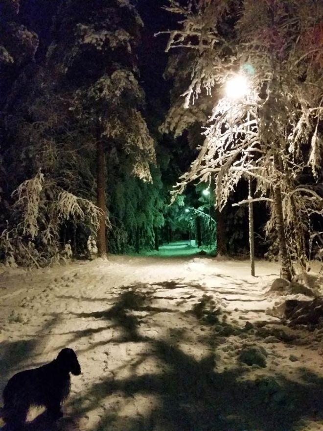 Äntligen snö i Umeå